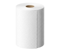 Toilet & Hand Towel